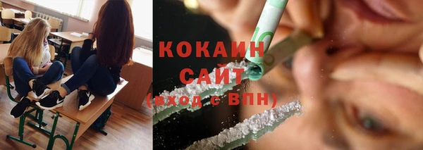 mdpv Ельня