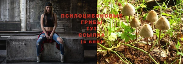 гашик Михайлов