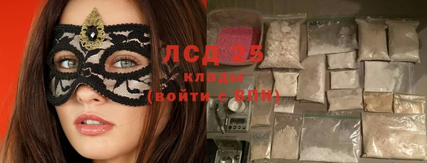 гашик Михайлов