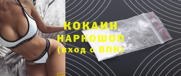 гашик Михайлов