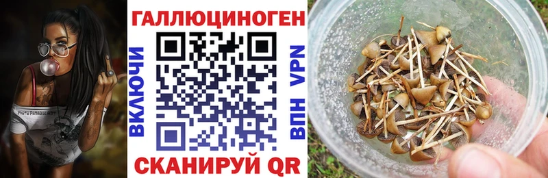 Псилоцибиновые грибы прущие грибы  Дюртюли 